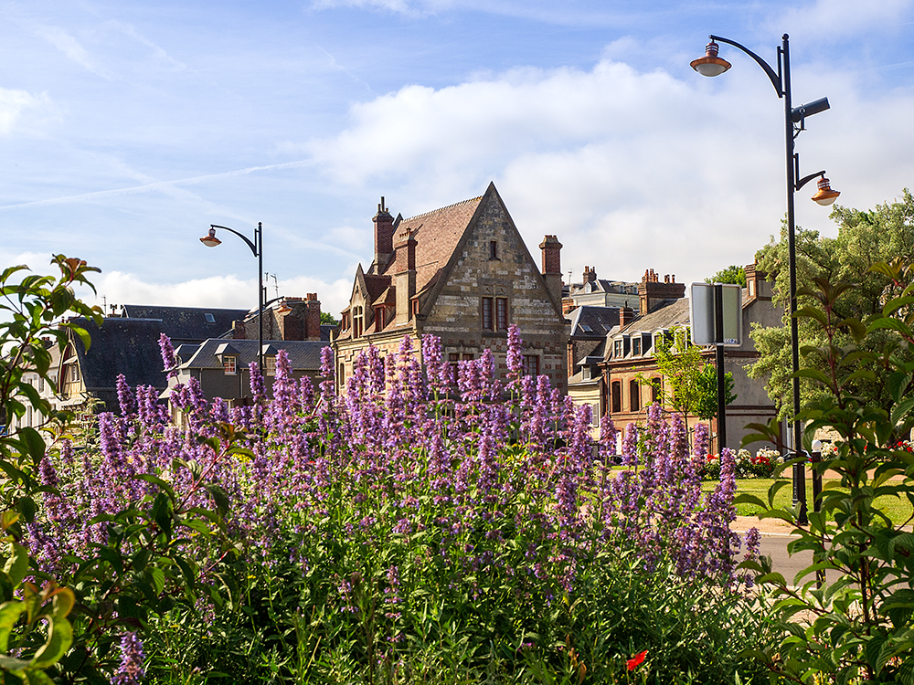 Honfleur