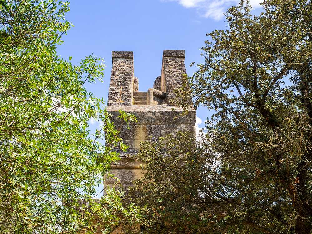 Pont du Gard