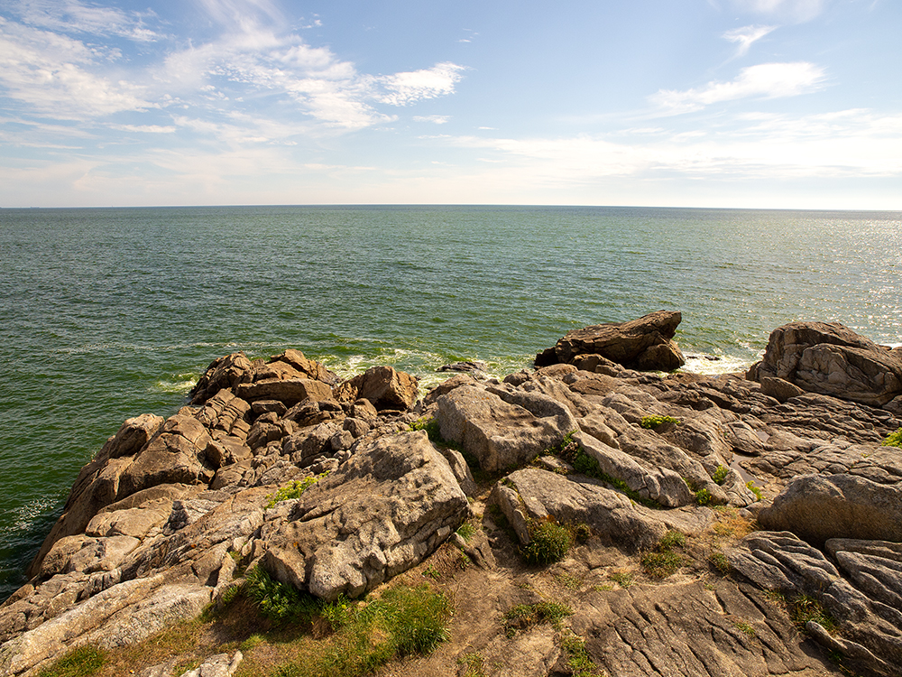 La côte sauvage