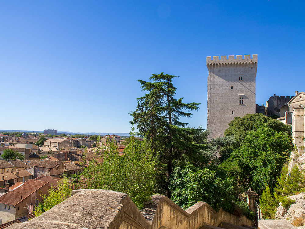 Avignon