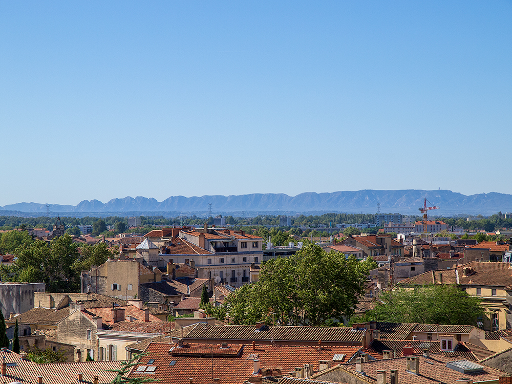 Avignon