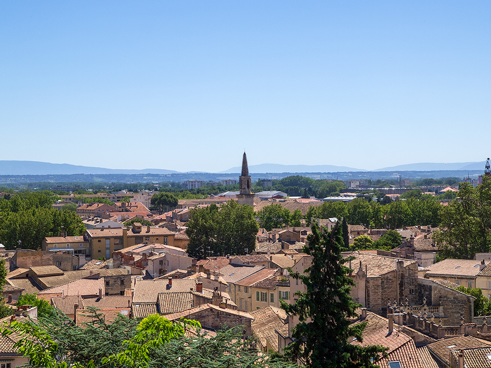 Avignon