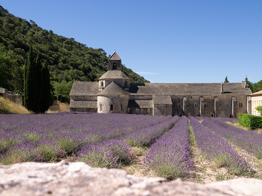 Abbaye Notre-Dame de Sénanque