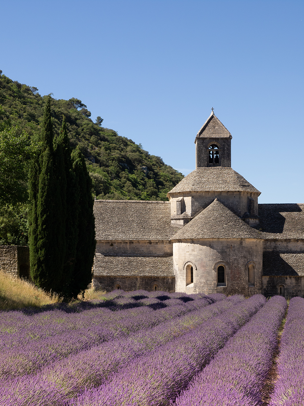 Abbaye Notre-Dame de Sénanque