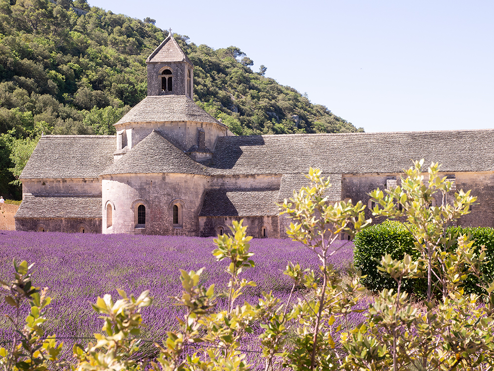 Abbaye Notre-Dame de Sénanque