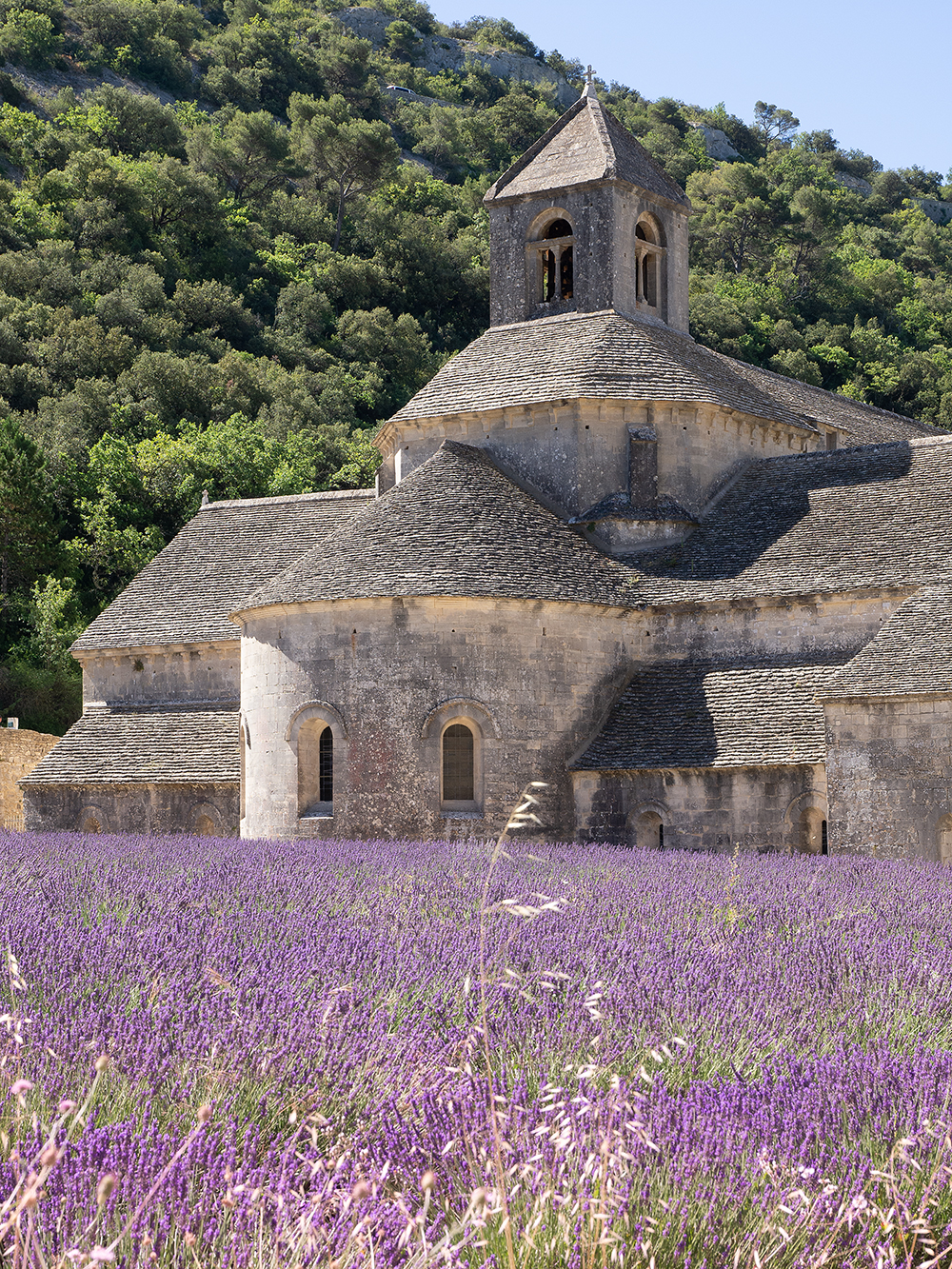 Abbaye Notre-Dame de Sénanque