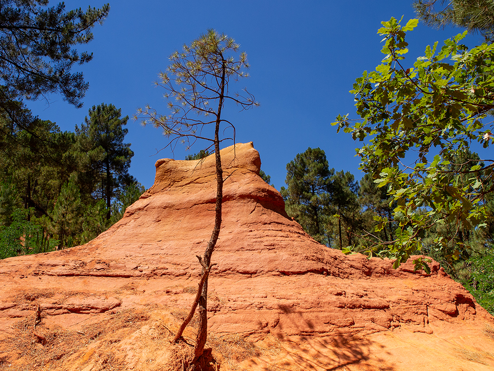 Roussillon