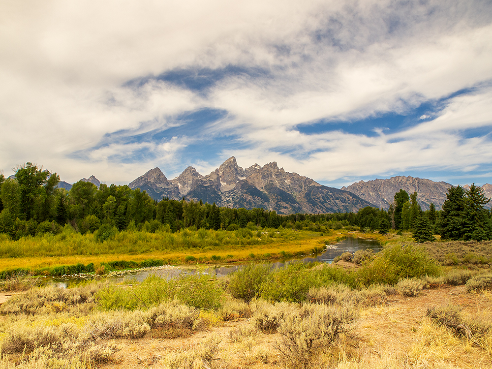 Schwabacher