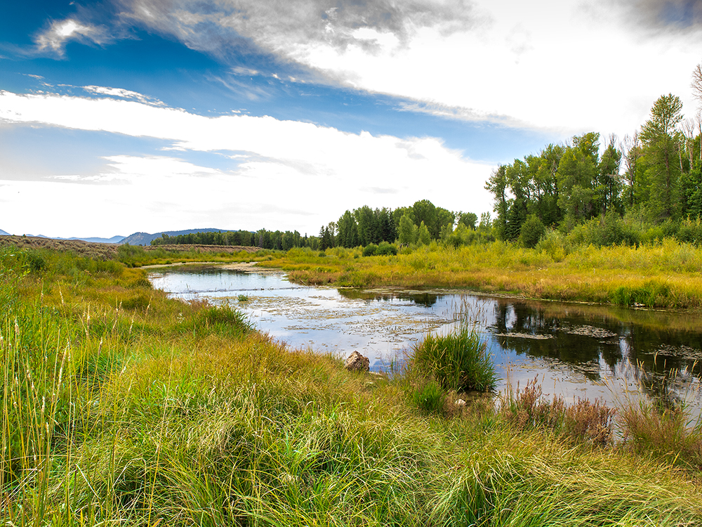 Snake River