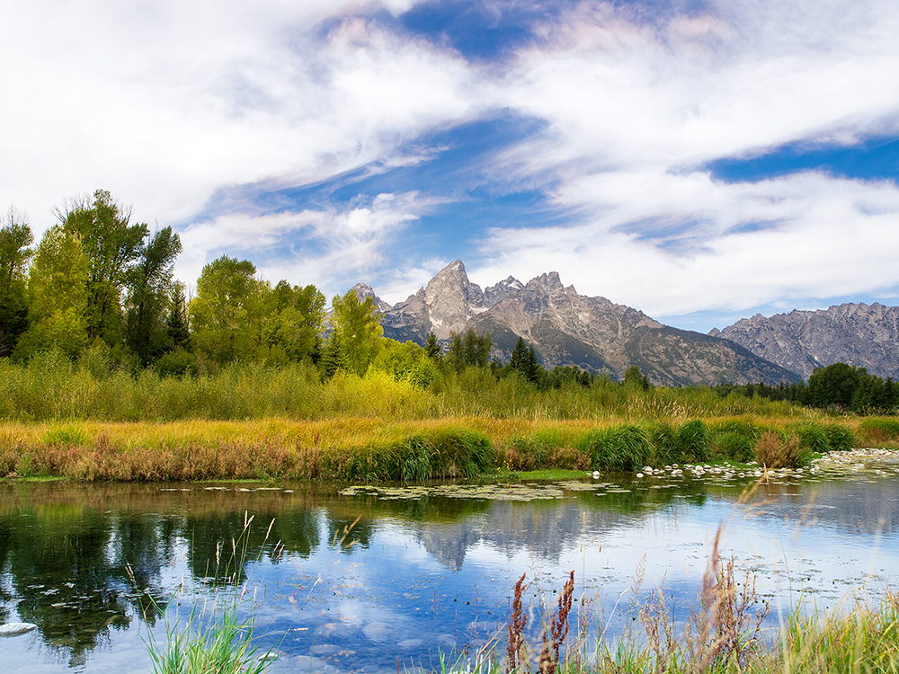 Schwabacher