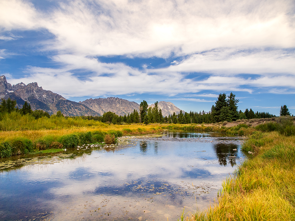 Schwabacher