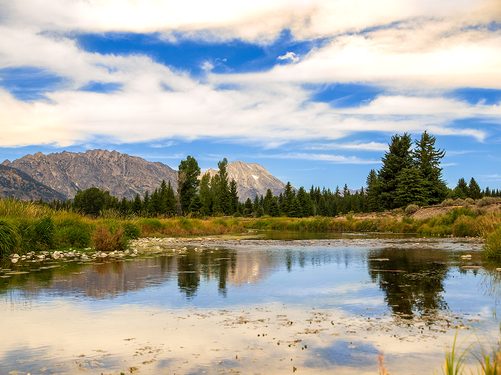 Schwabacher