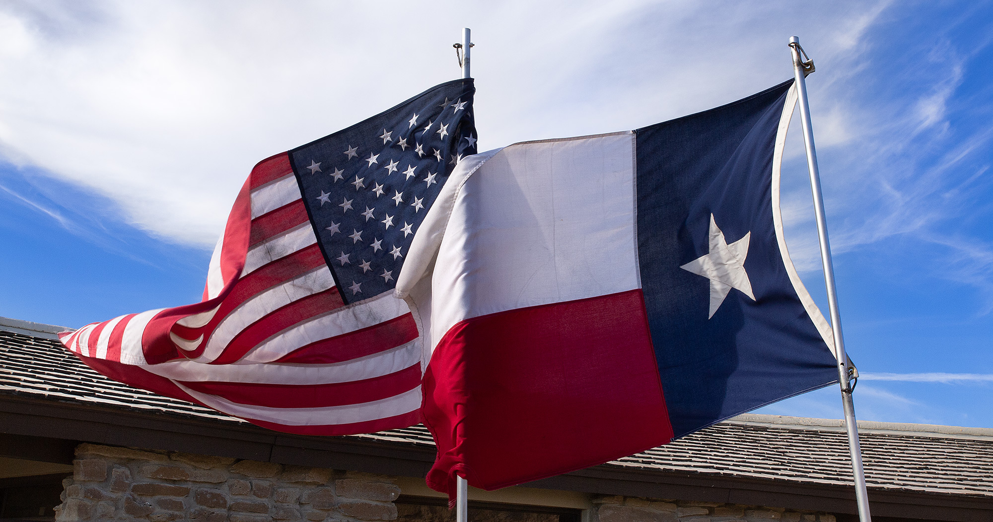 Texas Flag