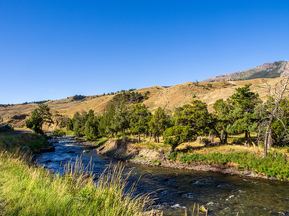 Gardner River