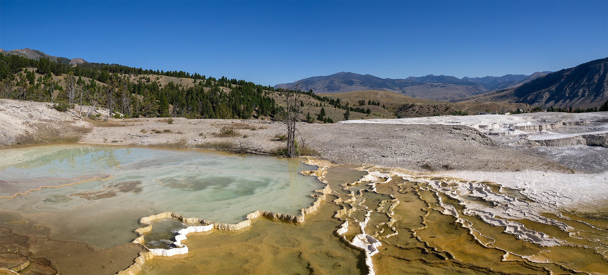 Mammoth Pano