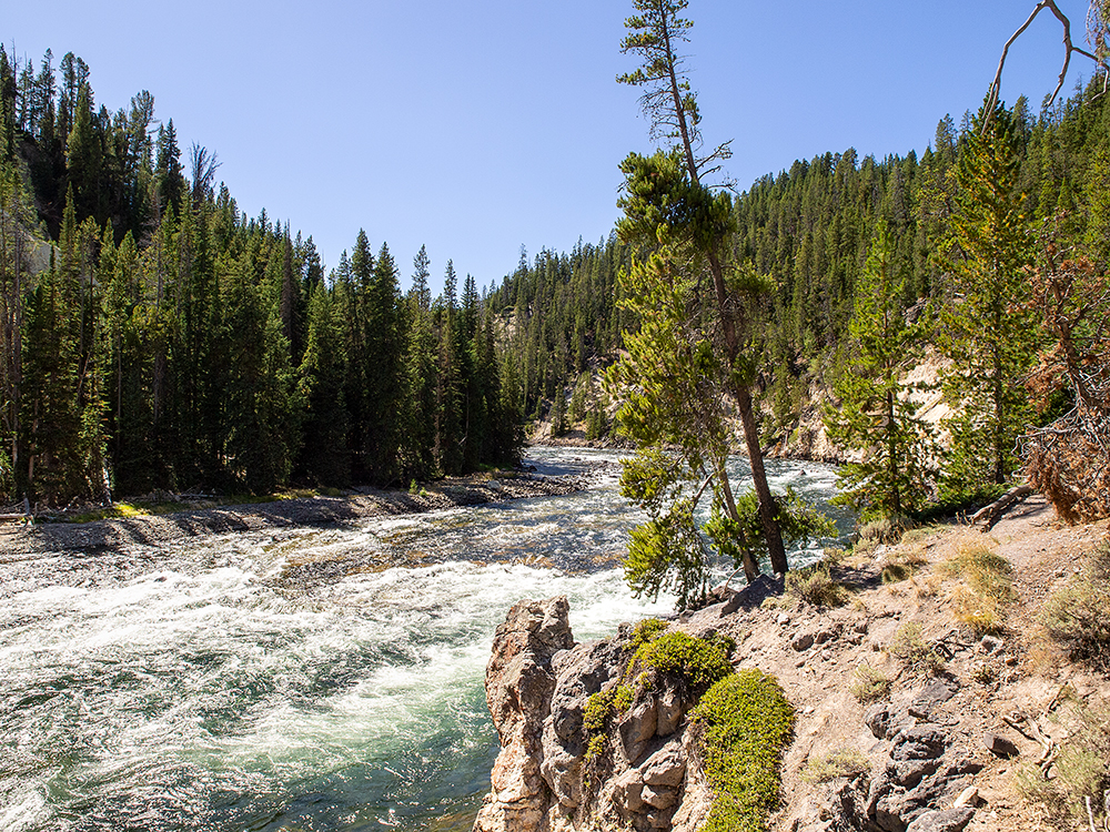 Yellowstone River