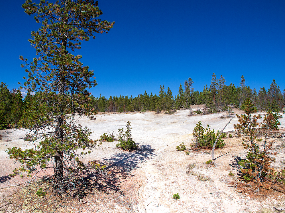 Norris Basin