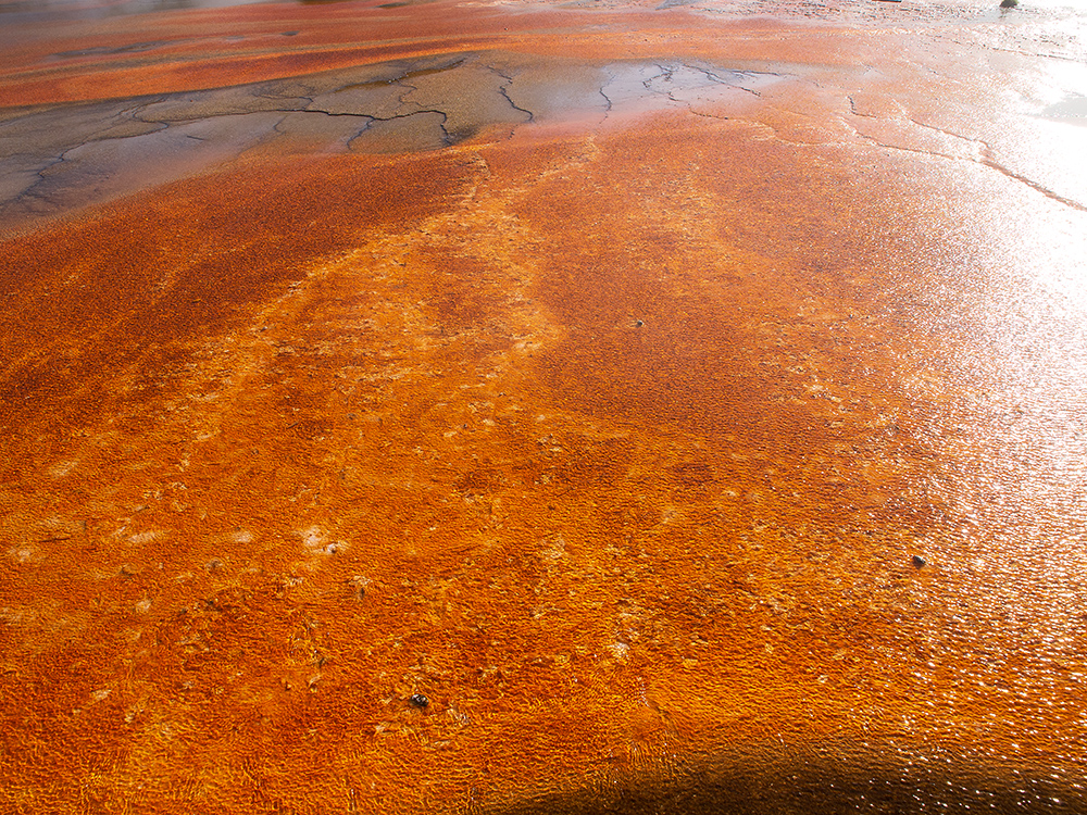 Grand Prismatic