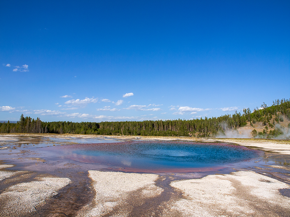 Turquoise Pool